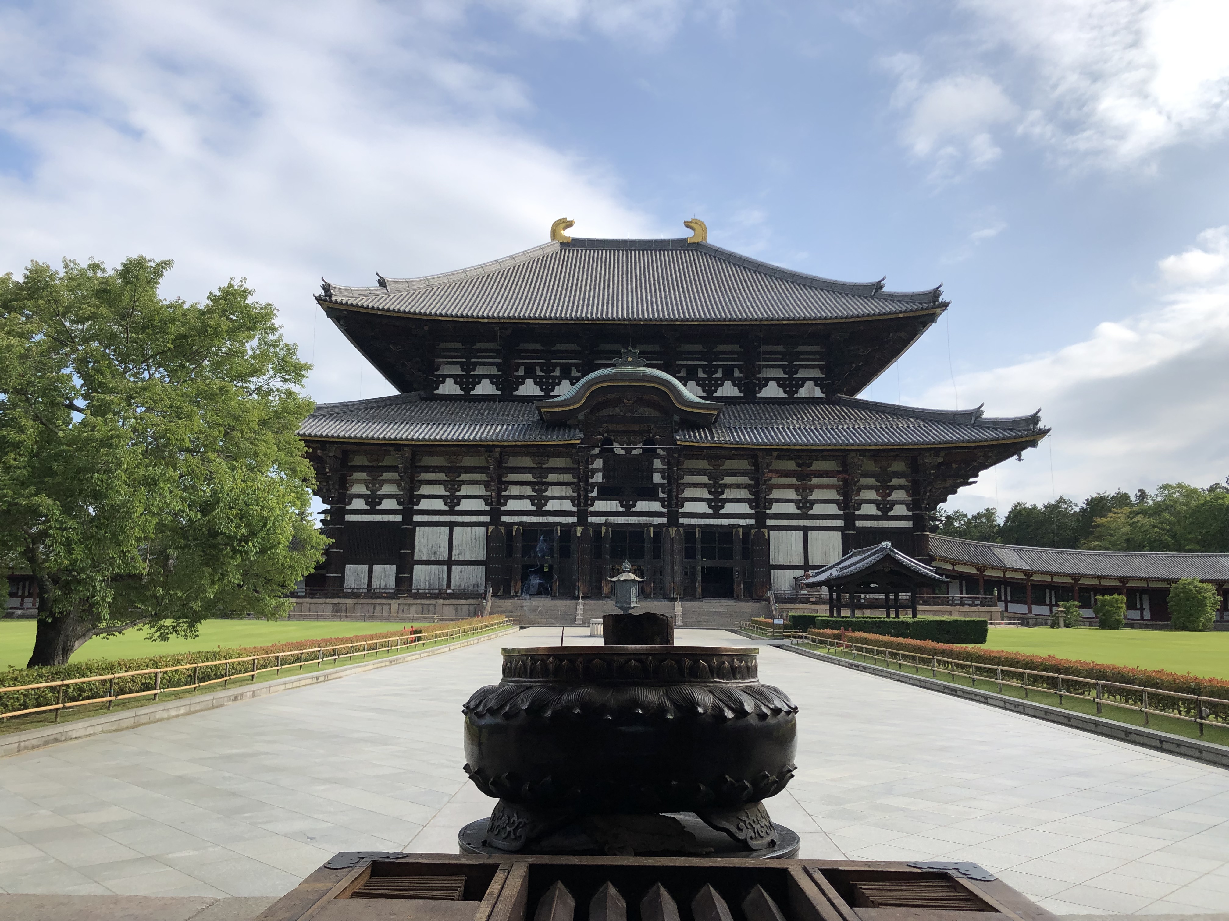 水無月　令和元年～古都である奈良と京都の違いと奈良の将来性